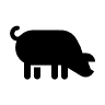 Porcine
