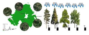 Location of the five forest sites sampled across Northern Ireland and the rainwater traps within each site