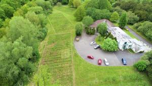 Aerial view of willow planting at AFBI Loughgall Aerial view of willow planting at AFBI Loughgall