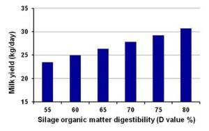 Figure 1 Figure 1