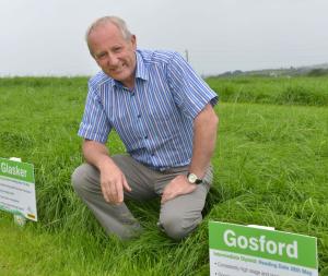 David Johnston (AFBI) with two of the newest AFBI varieties Gosford and Glasker David Johnston (AFBI) with two of the newest AFBI varieties Gosford and Glasker