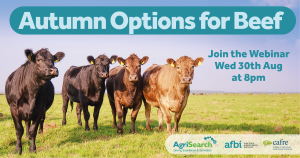 The webinars will look at options that farmers can take this autumn to help mitigate the challenges they are facing The webinars will look at options that farmers can take this autumn to help mitigate the challenges they are facing