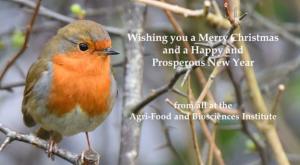 Merry Christmas from AFBI Merry Christmas from AFBI