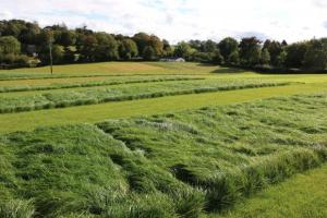 Grass trials at AFBI Loughgall Grass trials at AFBI Loughgall