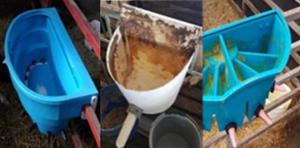 Example of milk feeding equipment found on NI dairy farms as part of the Optihouse project. Example of milk feeding equipment found on NI dairy farms as part of the Optihouse project.