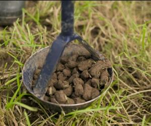 Zone 2 uptake at 92% for The Soil Nutrient Health Scheme Zone 2 uptake at 92% for The Soil Nutrient Health Scheme