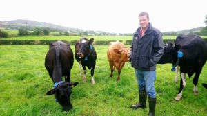 David Hunter with his 80 cow, spring calving herd, near Newtownstewart. David Hunter with his 80 cow, spring calving herd, near Newtownstewart.
