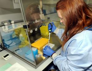 Scientist in the Cattle Health Lab Scientist in the Cattle Health Lab