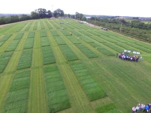 The extensive grass trial area at AFBI Loughgall which was used for More from Grass The extensive grass trial area at AFBI Loughgall which was used for More from Grass