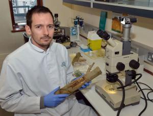 Dr Richard O'Hanlon (AFBI) Dr Richard O'Hanlon (AFBI)