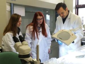 Catherine McGuckin, Julia Wilson and Richard O Hanlon inspect an ash sample for ash dieback Catherine McGuckin, Julia Wilson and Richard O Hanlon inspect an ash sample for ash dieback