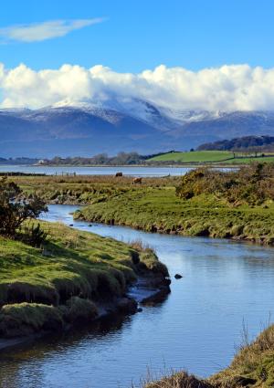 Enhancing the natural and marine environment AFBI: Enhancing the natural and marine environment