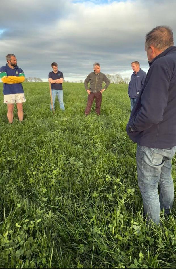 Dr David Patterson discussing red clover agronomy with ZeroNsile farmers at the farm of Douglas McKenzie