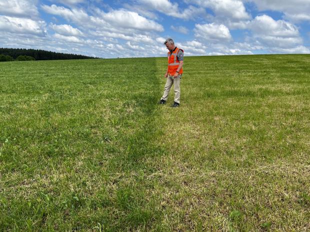 Dr David Patterson assessing sward resilience during the recent dry spell at AFBI Hillsborough