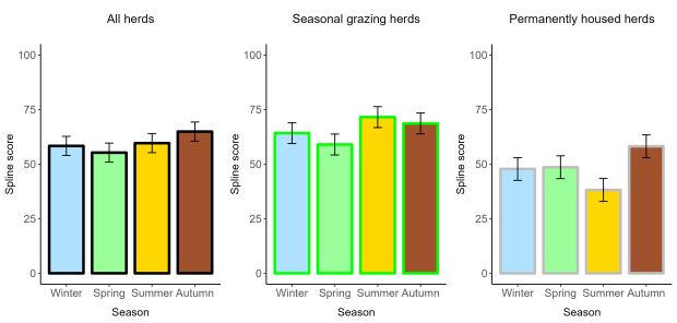 Absence of injury scores as affected by the season. These scores integrate mobility with bald spots, lesions and swellings and can vary between 0 (worst) and 100 (best).