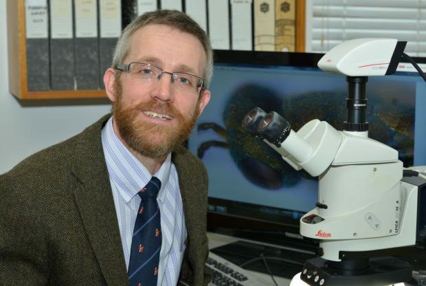 Dr Archie Murchie, AFBI Entomologist Dr Archie Murchie, AFBI Entomologist