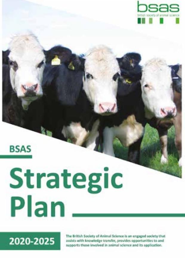 BSAS Strategic Plan 2020-25 BSAS Strategic Plan 2020-25