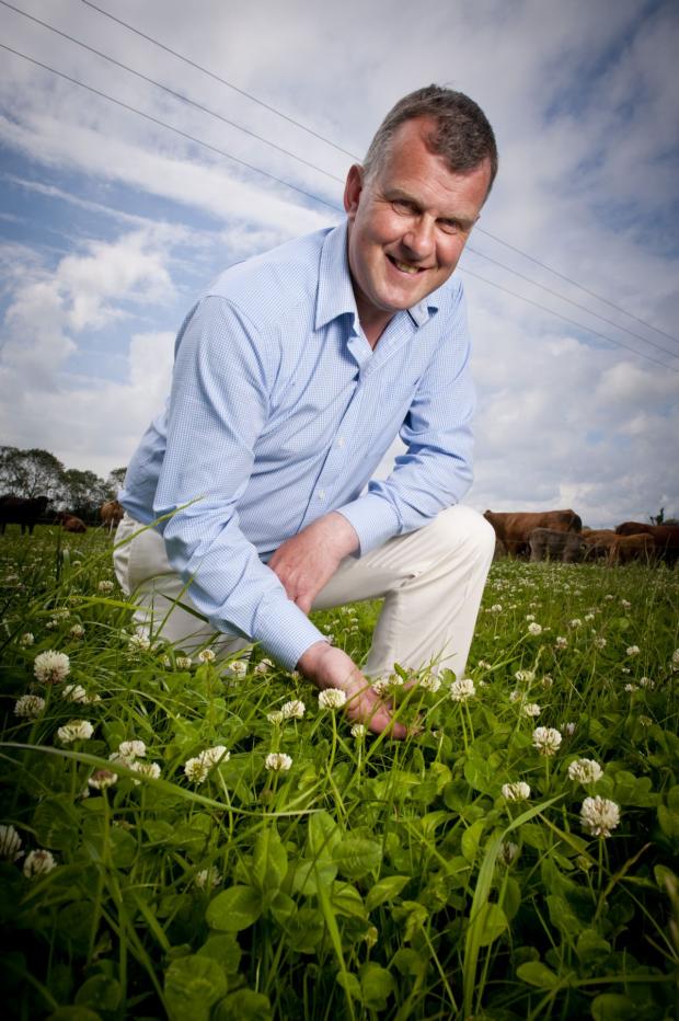 Kircubbin producer and beef conference speaker, Sam Chesney, takes the view to “Always research alternatives - don’t be afraid to fail – be afraid not to try.” Kircubbin producer and beef conference speaker, Sam Chesney, takes the view to “Always research alternatives - don’t be afraid to fail – be afraid not to try.”