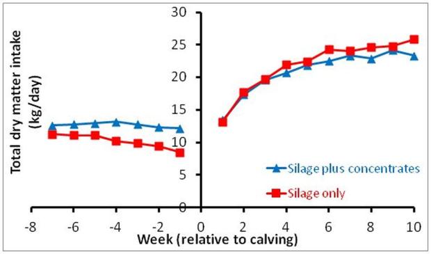 Effects of offering concentrates during the dry period on dry matter intake during the dry period and subsequent lactation Effects of offering concentrates during the dry period on dry matter intake during the dry period and subsequent lactation
