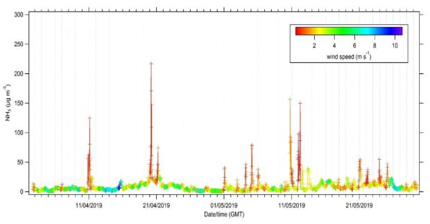 Ammonia concentrations measured at Hillsborough farm coloured by wind speed