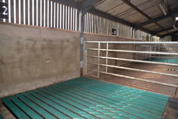 Trials at ABFI compared concrete and rubber slats Trials at ABFI compared concrete and rubber slats