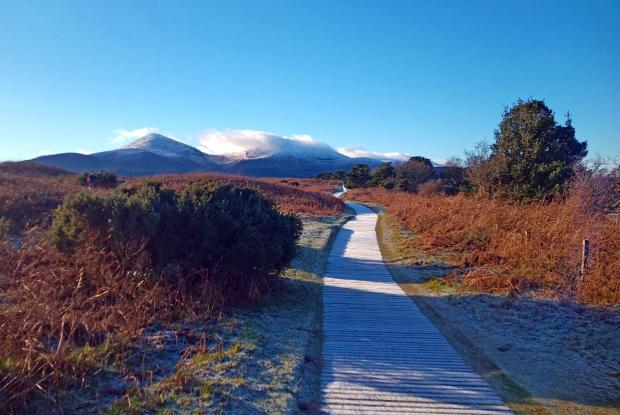 Mourne mountains view from Murlough dunes