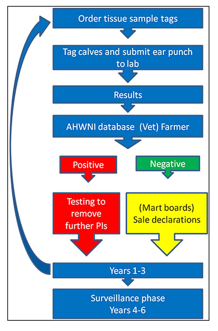 Eradication programme diagram