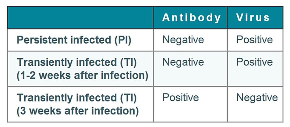 BVD testing table 1