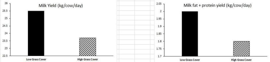 Figure 1: Average milk yield and milk fat + protein yield of cows offered grass from low or high cover swards Figure 1: Average milk yield and milk fat + protein yield of cows offered grass from low or high cover swards