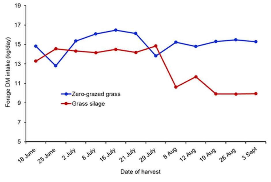 Figure 1. Average weekly forage dry matter intake of cows offered zero-grazed grass or grass silage produced from the same sward. Figure 1. Average weekly forage dry matter intake of cows offered zero-grazed grass or grass silage produced from the same sward.