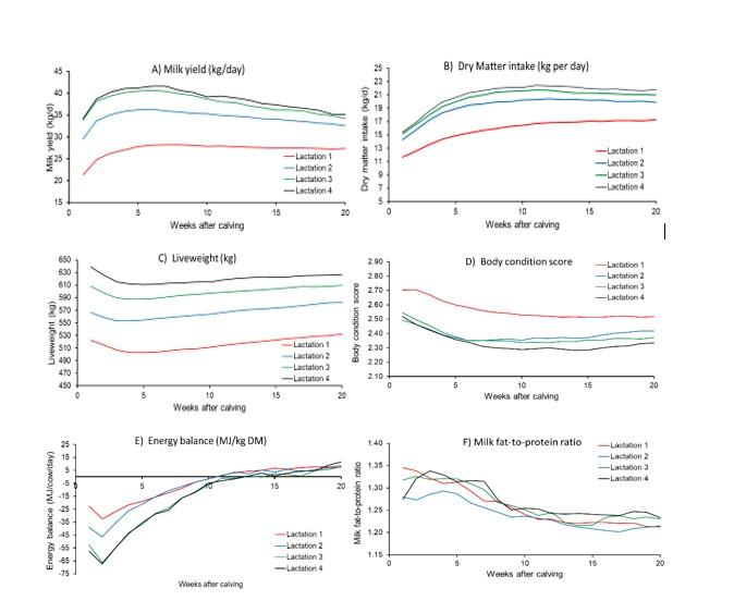 Changes in (A) milk yield, (B) dry matter intake, (C) liveweight, (D) body condition score, (E) energy balance and (F) fat-to-protein ratio of dairy cows during lactations 1, 2, 3 and 4, over the first 20 weeks of lactation. Changes in (A) milk yield, (B) dry matter intake, (C) liveweight, (D) body condition score, (E) energy balance and (F) fat-to-protein ratio of dairy cows during lactations 1, 2, 3 and 4, over the first 20 weeks of lactation.