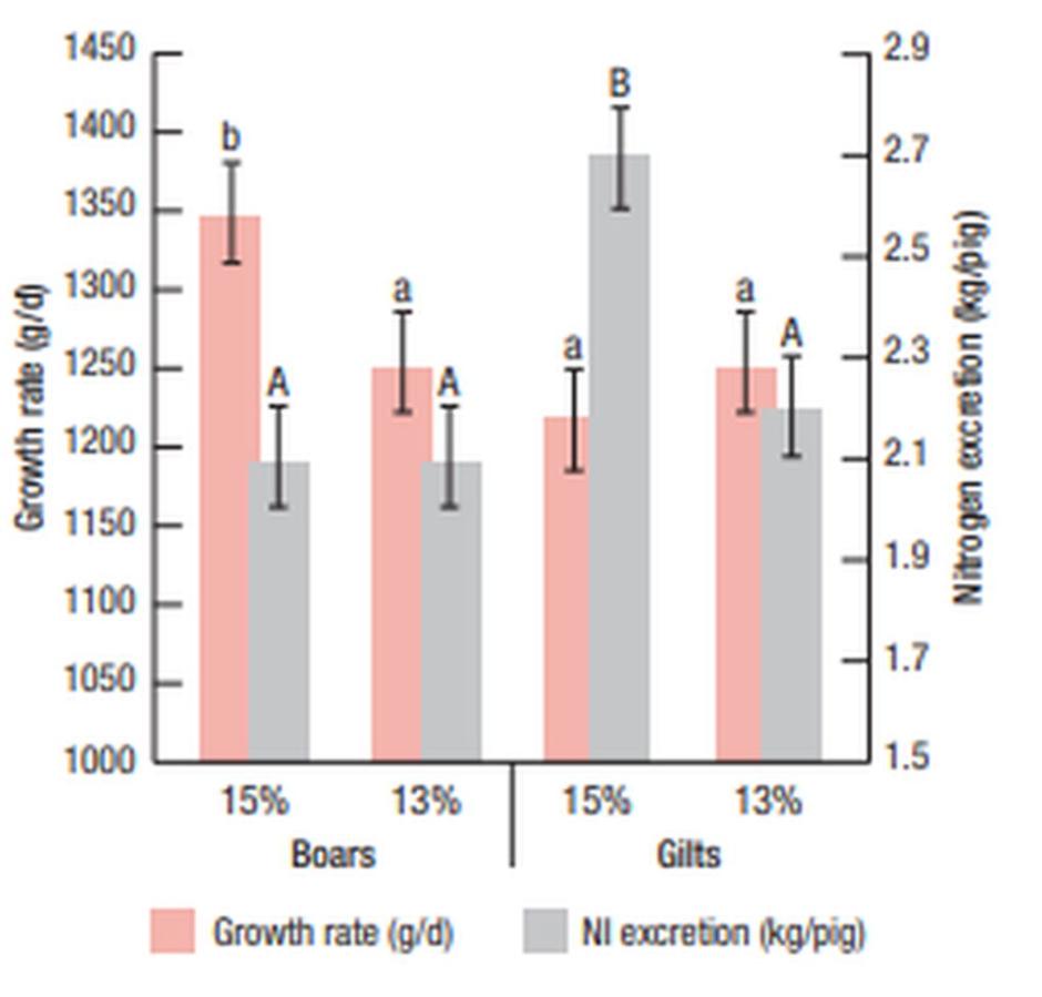 Figure 1. The effect of dietary CP on growth rate (g/d) and nitrogen excretion (kg/pig) of finishing pigs from ~60-140kg (A,B and a,b indicate statistical difference Figure 1. The effect of dietary CP on growth rate (g/d) and nitrogen excretion (kg/pig) of finishing pigs from ~60-140kg (A,B and a,b indicate statistical difference
