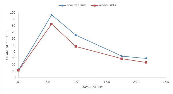 Figure 1. Cleanliness scores of bulls accommodated on concrete or rubber slats Figure 1. Cleanliness scores of bulls accommodated on concrete or rubber slats