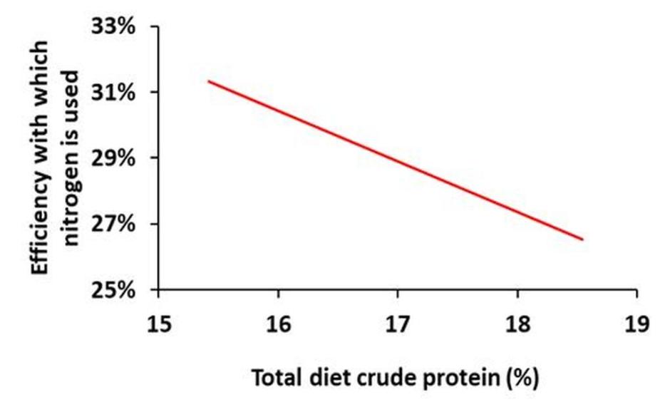 Relationship between total diet crude protein content and the efficiency with which nitrogen is used by dairy cows Relationship between total diet crude protein content and the efficiency with which nitrogen is used by dairy cows