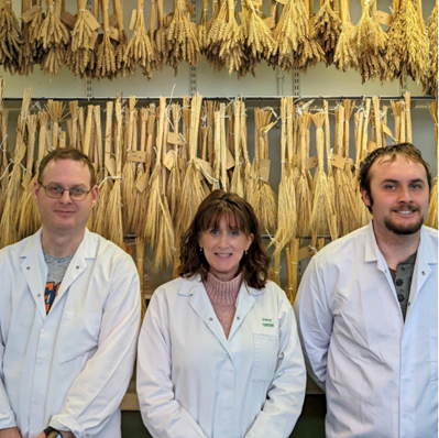 The AFBI seed testing team Aaron Carrick, Jenny Livingstone, and Robert Neill The AFBI seed testing team Aaron Carrick, Jenny Livingstone, and Robert Neill