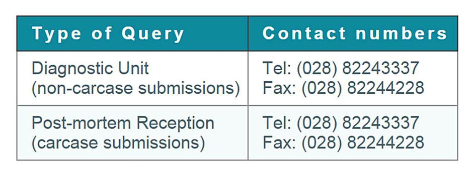 VSD Omagh contact numbers VSD Omagh contact numbers