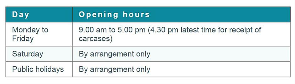 VSD Stormont post mortem office hours VSD Stormont post mortem office hours