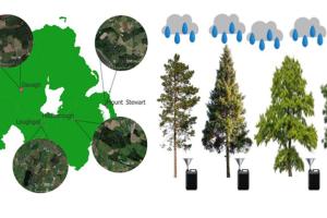 Location of the five forest sites sampled across Northern Ireland and the rainwater traps within each site