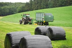 Harvesting grass using a zero-grazer, and for silage, from the same sward