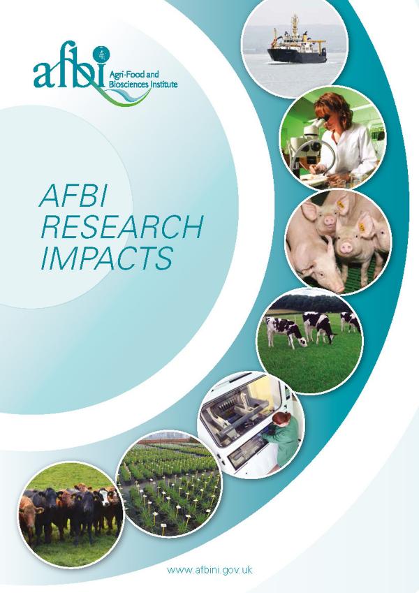Impact Booklet