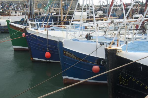 Portavogie fishing fleet