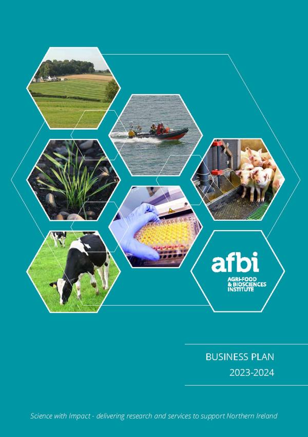 Cover page image for AFBI Business Plan 2023 - 2024