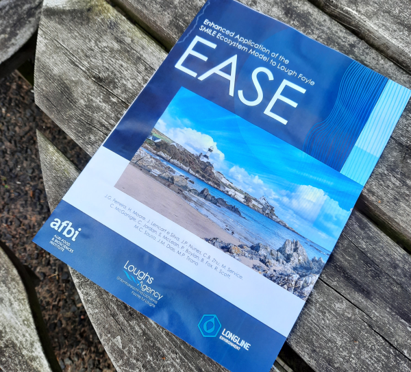 EASE cover image