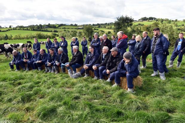 Large crowds featured during the AFBI on farm events this week