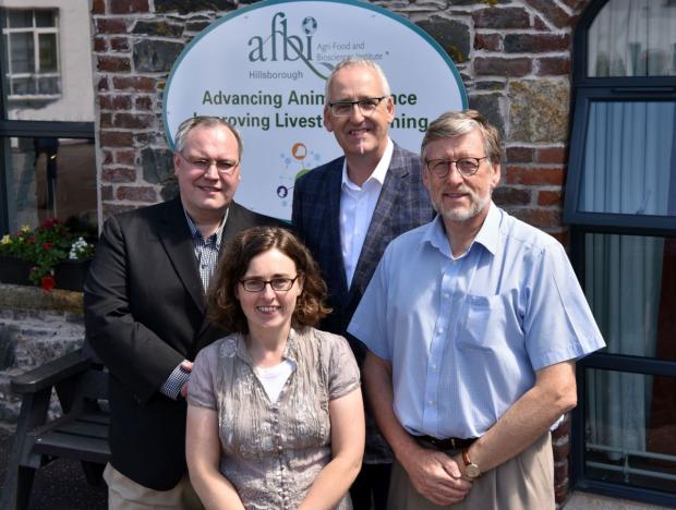 Mark Fedorak, Elizabeth Ball, Martin Zuidhof and Trevor Gilliland continue discussions on collaboration