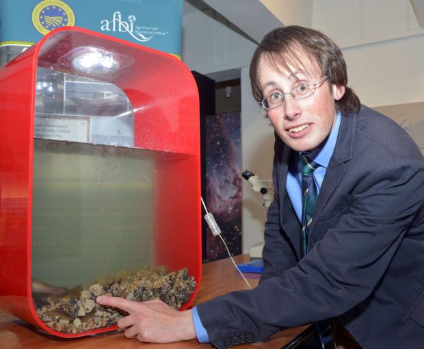AFBI's Warren Campbell with live eels