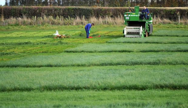 Working on the farm field