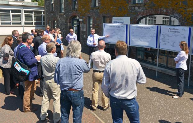 Dr Stanley McDowell (Head of Veterinary Sciences Division, AFBI) summarises the discussion from the livestock health group with workshop participants in the sunny courtyard at Hillsborough.