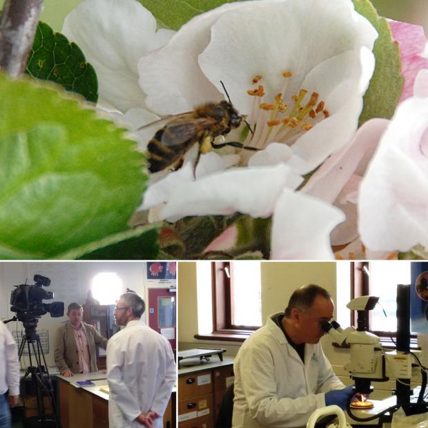 Entomologists, Archie Murchie & Ivan Forsythe