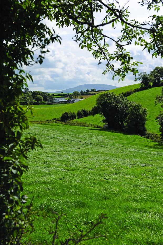 Image of rural County Down landscape